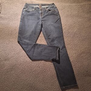 Earl Jean Womens 12 (30x30) Blue Skinny Stretch Low Rise Dark Wash Whiskers